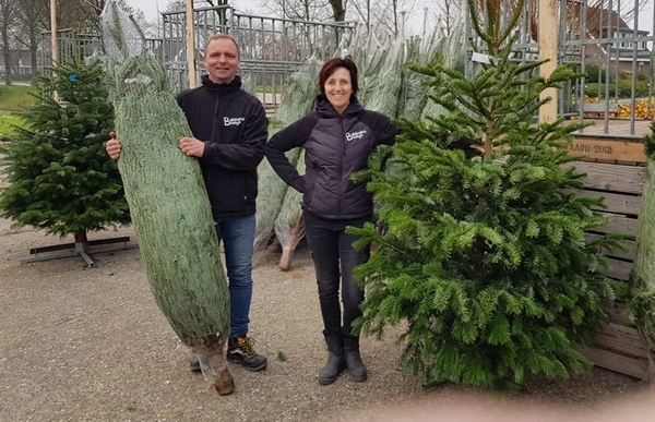 Kerstbomen verkoop!